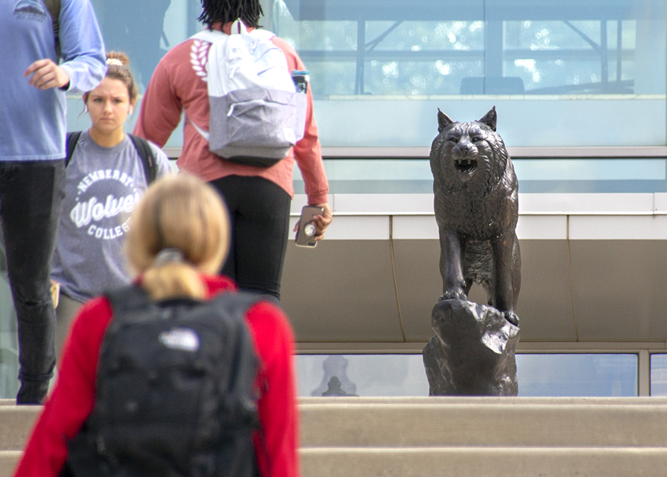bobcat statue at top of steps