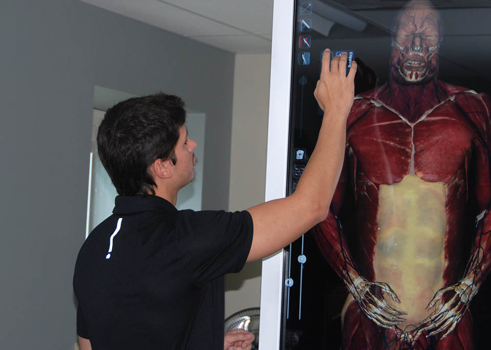 student studying human anatomy in advanced graduate program