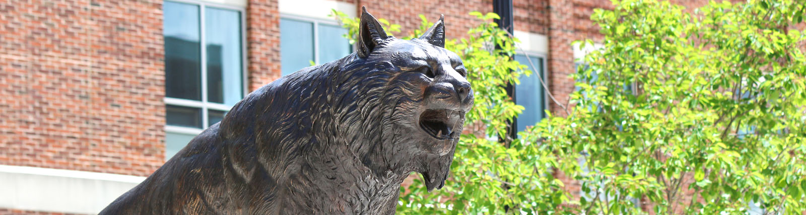 bobcat statue at FSU