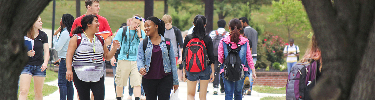 large group of students walk to the next class while chatting