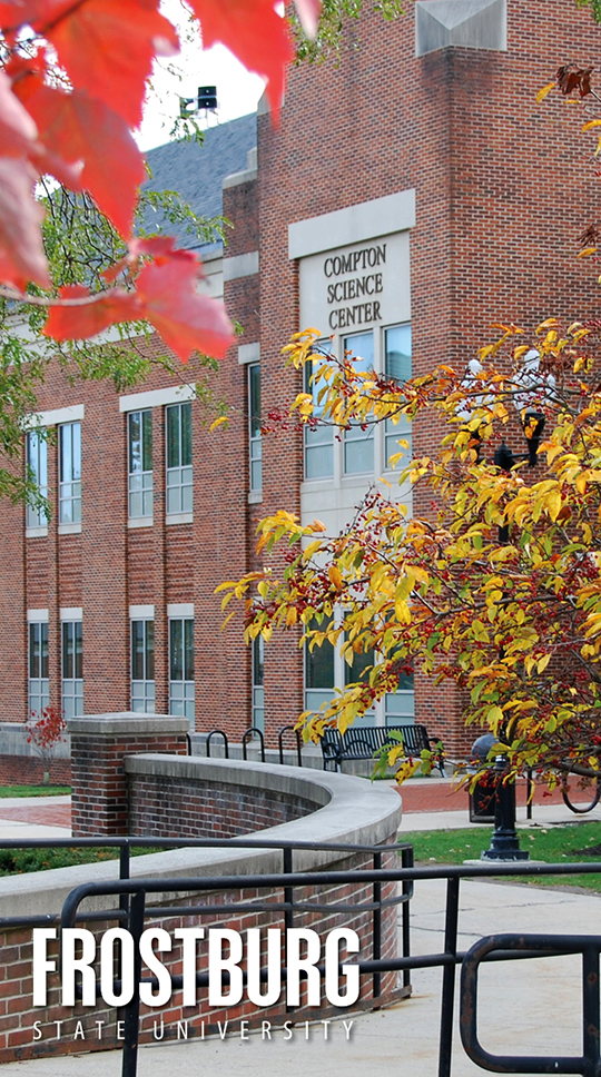 FSU Background Bobcat Stadium