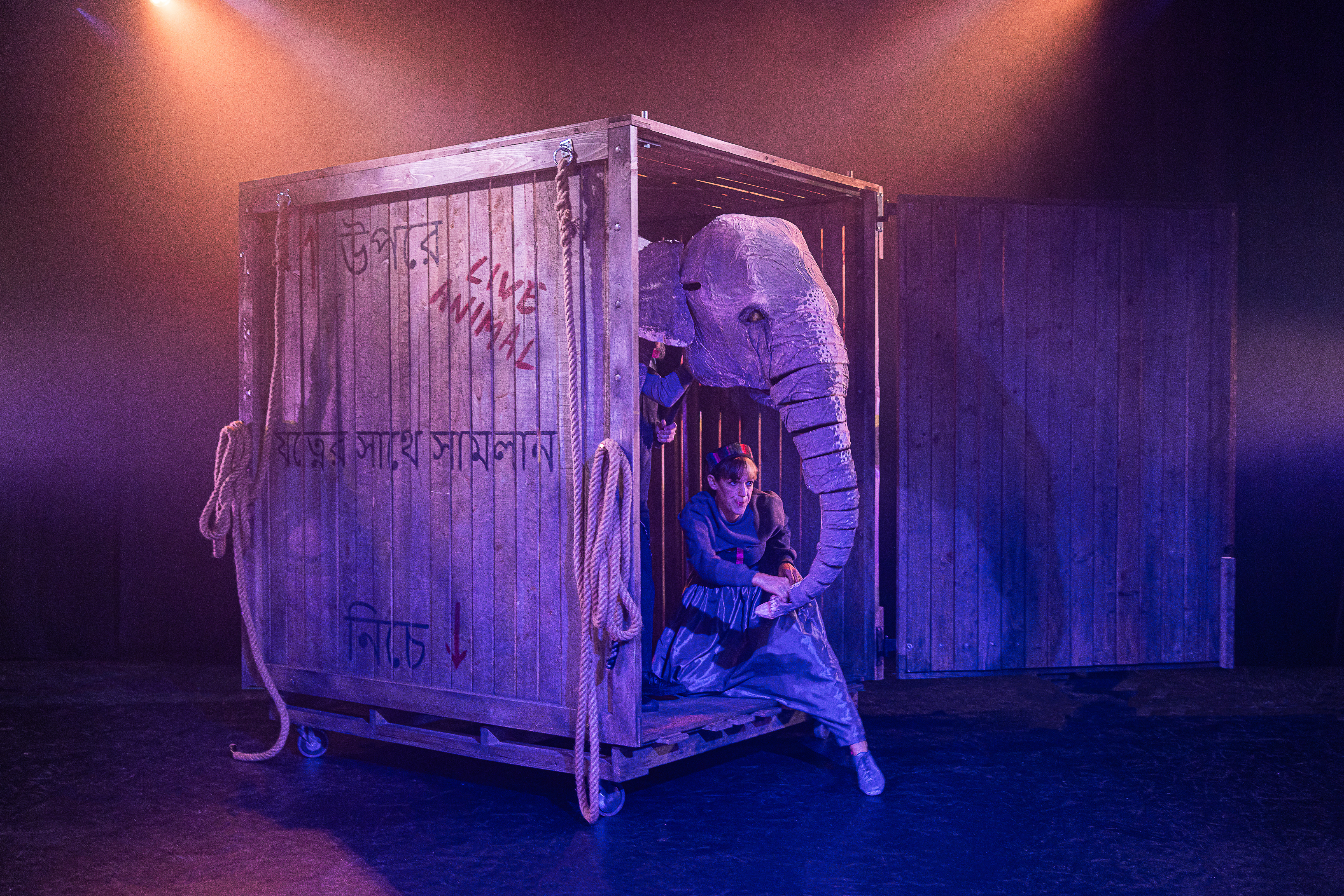 vanishing elephant